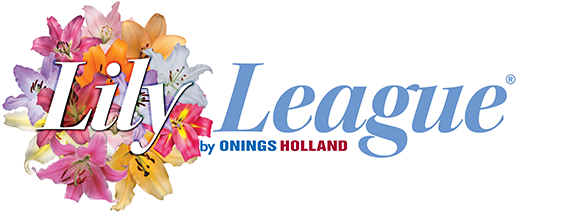 logo-lily-league