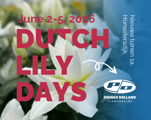 Dutch Lily Days Onings 5-7 June 2026