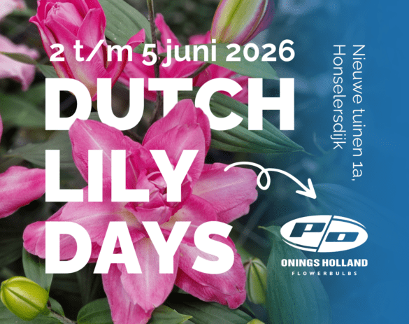 Onings Holland: Dutch Lily Days 2 t/m 5 juni 2026 Nieuwe Tuinen 1a Honselersdijk