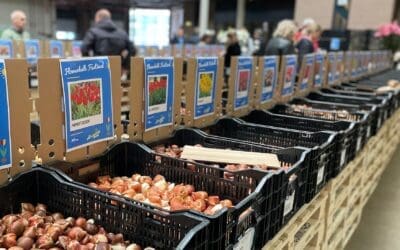 Onings Holland Flowerbulbs haalt € 8.150 op voor De Westlandse Ride 2026
