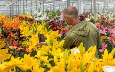 Jubilerend Onings laat stem van het lelievak horen