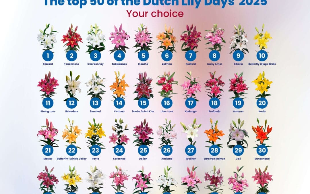 Lily League® 2025 bevestigt trends met een krachtige top 50