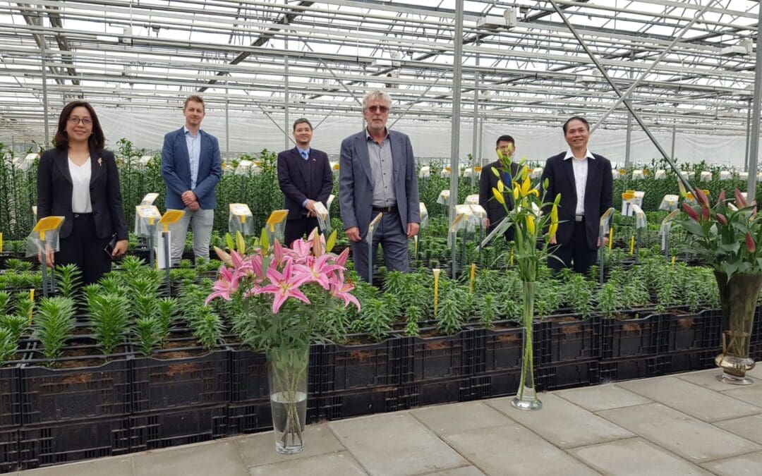 Vietnamese ambassadeur op bezoek in de proefkas van Onings Holland