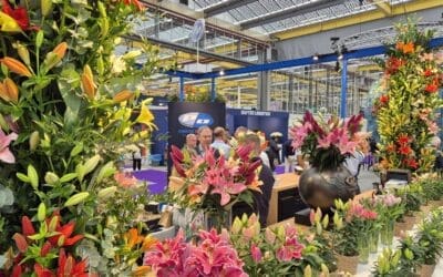 Stand Onings op de IFTF 2025 te vinden in hal A